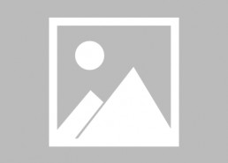 娱乐吃瓜助理黑料,真相与争议并存