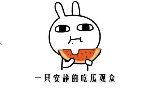 娱乐吃瓜酱知识怎么就进脑子里了