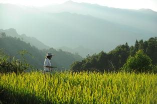 娱乐吃瓜酱拐进山里