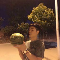 娱乐圈摆烂吃瓜小说推荐,吃瓜群众眼中的明星生活揭秘