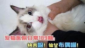 娱乐吃瓜酱贴纸