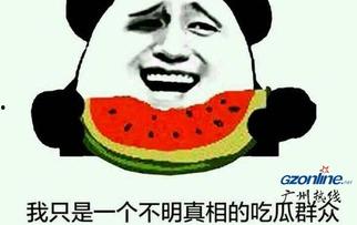 网络用语吃瓜是什么意思,吃瓜背后的趣味与内涵